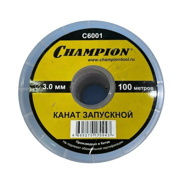 ����� ��������� 3 ��, 100 � Champion (C6001)