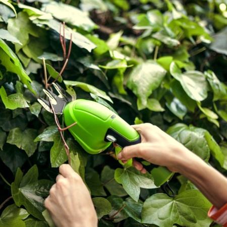 ������� ������� �������������� Greenworks G3.6HS (2903307)