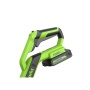  GREENWORKS G24LT301 (24V, 30,    ) 2113207