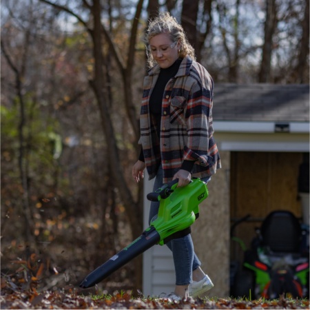 ������������-������� �������������� Greenworks GD60BVII (2409307) (60V, ����, ��� ��� � ��)