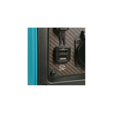 ��������� ���������� ����������� Sturm PG2500Ci (2.2 ���, ������ �������)