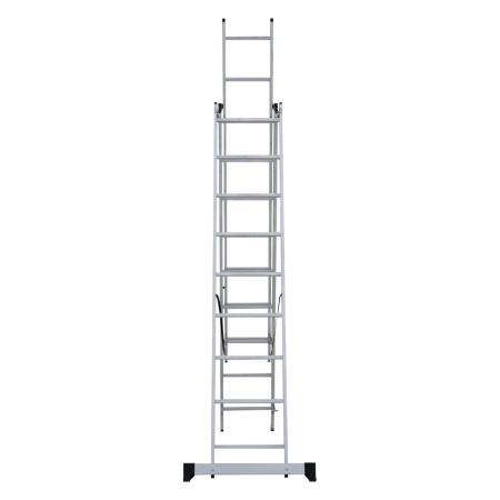      NV 1230, 39 (1230309)