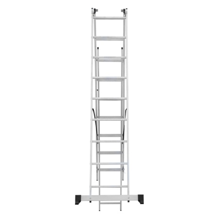      NV 1230, 39 (1230309)