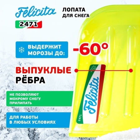   475x400x1510, , .  Felicita (2471)