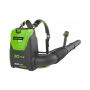 ������������ �������������� �������� Greenworks GD60BPB (60V, ��� ��� � ��) 2402307