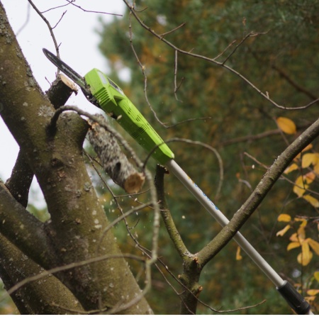 ��������� �������������� Greenworks G40PSF (40V, 20 ��, ��� ��� � ��) 1401107