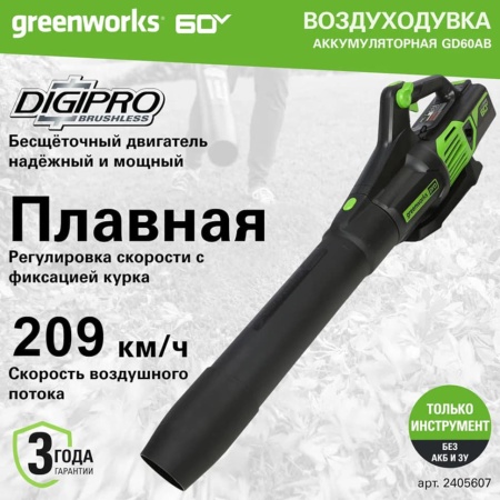   Greenworks GD60AB (60V,    ) 2405607