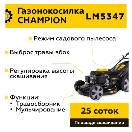    CHAMPION LM5347