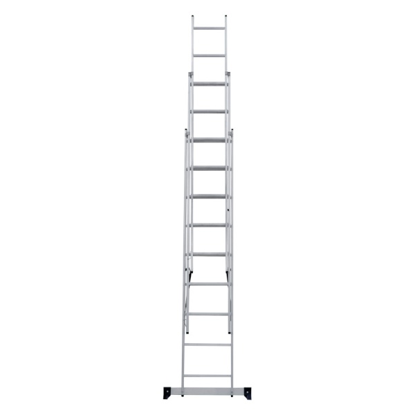      NV 1230, 39 (1230309)