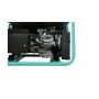 ��������� ���������� Sturm PG8765N
