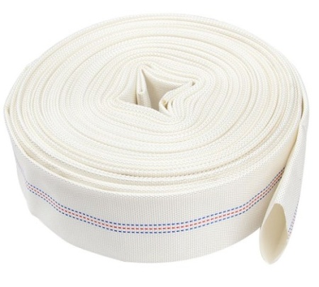   50 (20) CHAMPION C2529