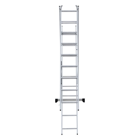      NV 1230, 39 (1230309)