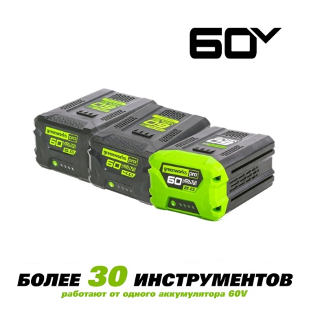 �������������� ������������ Greenworks GD60PST (60V, 51 ��, �����������, ��� ���/��) 2602907