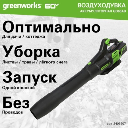   Greenworks GD60AB (60V,    ) 2405607