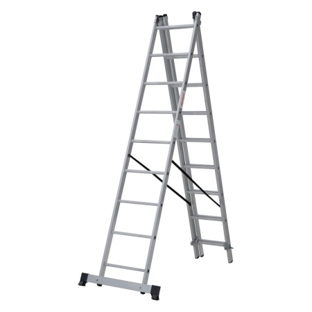      NV 1230, 39 (1230309)